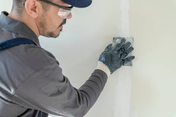 Environmental Consulting for Mold Prevention in Stratford, CA